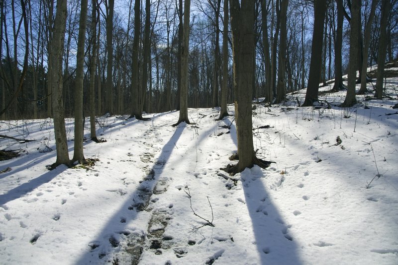 Starting the Lookout Trail on a wintery day.