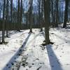 Starting the Lookout Trail on a wintery day.