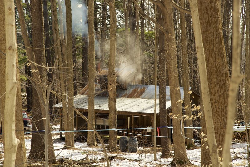 Maple syrup time at the sugar shack.