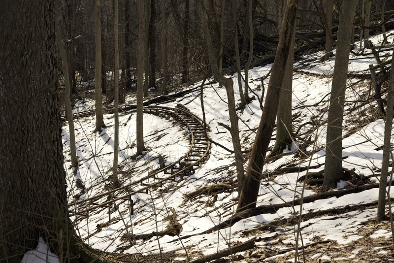 Abandoned alpine slide in the woods.