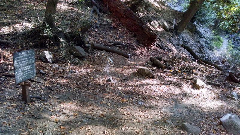 Junction of Gabrielino and Sturtevent Trails