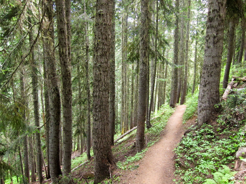 Maple Pass Loop.