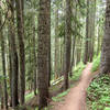 Maple Pass Loop.