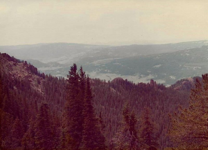 Coming down the west side of Bliss Pass you begin to see glimpses of the lush meadows of Slough Creek to the southwest.