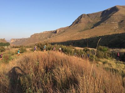 Getting the legs moving