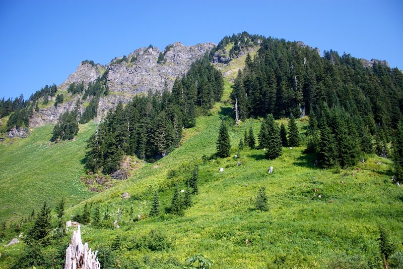 Eyes on the prize! Sauk Mountain Trail.