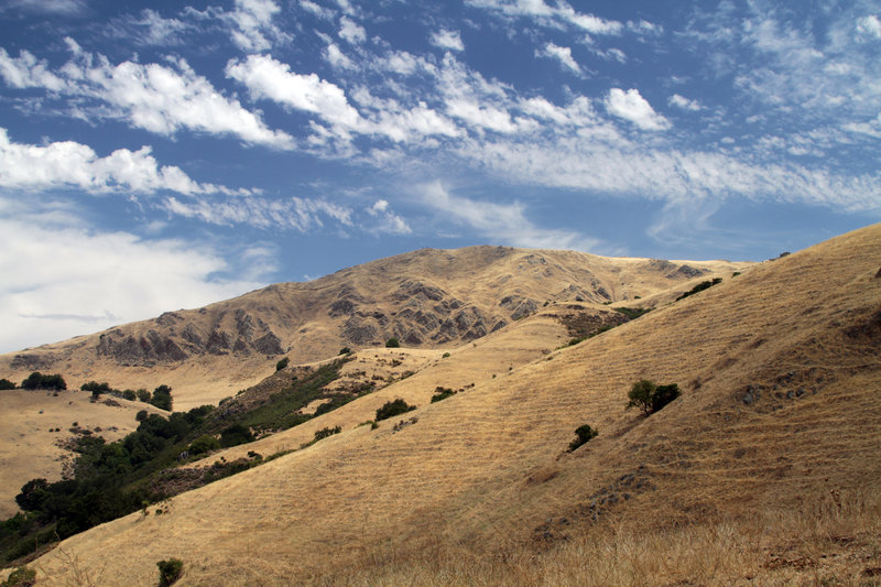 The dry side of Mission Peak, as seen from the Horse Haven Trail.