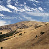 The dry side of Mission Peak, as seen from the Horse Haven Trail.