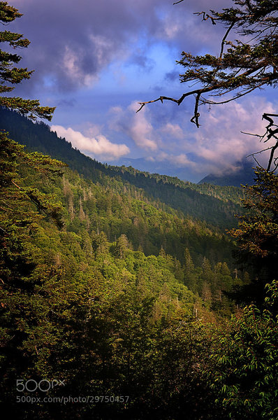 The hills descend into the Goshen Prong.