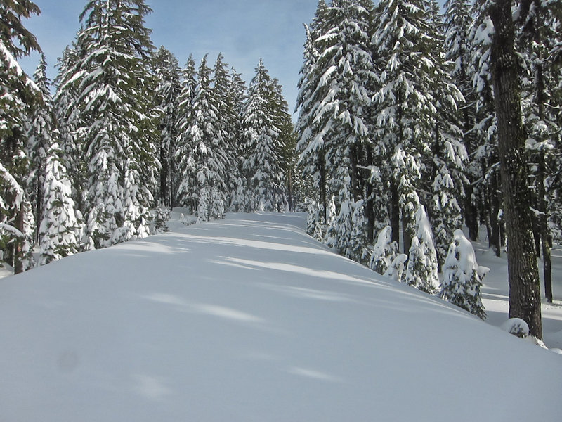 Rim Road / Ski Trail - Crater Lake National Park.