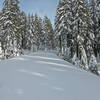 Rim Road / Ski Trail - Crater Lake National Park.