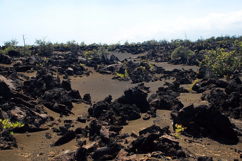 Approaching the Ka'u Desert Trail- volcanic ash and A'a Lava. with permission from Andrew Stehlik