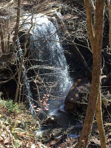 Big Laurel Falls.