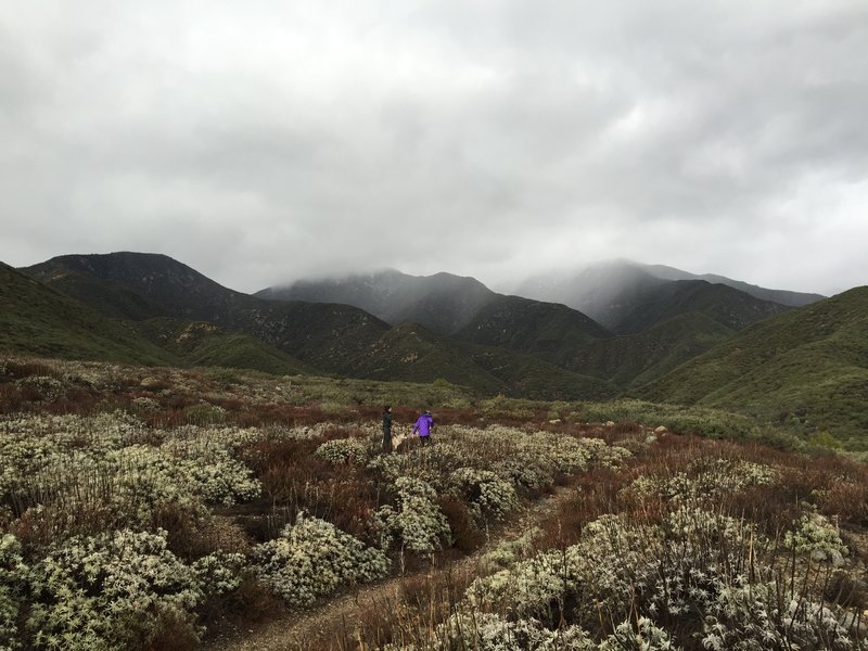 North Etiwanda Preserve (Paulina and Cassie).