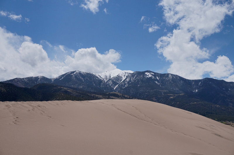 The Sangre de Cristo mountains are the perfect background for the dunes.