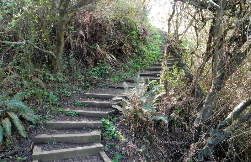 The trail on the south side of the lagoon is elevated along most of the way.