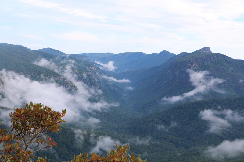 This is the reward for climbing up on top of Shortoff Mountain! You can see the Linville River carving its way through the gorge with the peaks of Hawksbill and Table Rock (right) towering above.