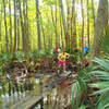 Runners crossing the wet section of the trail.