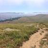 View from Ohlone Wilderness Trail.