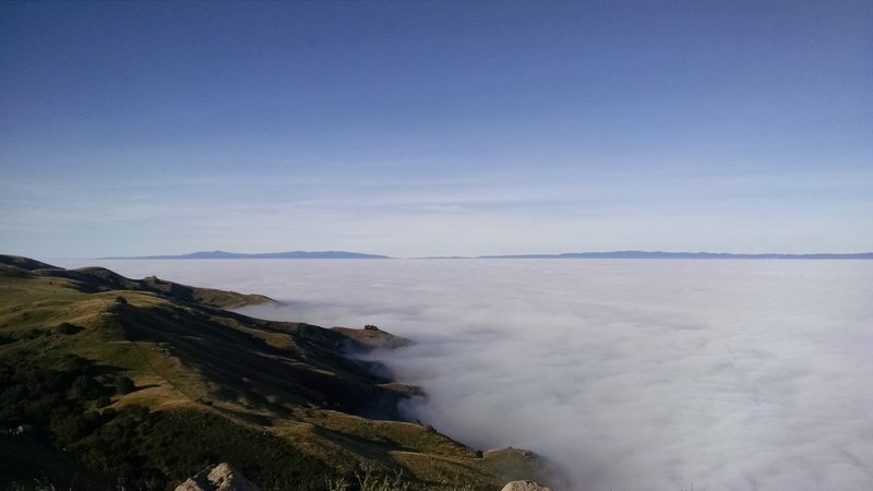 A sea of clouds from Mission Peak.