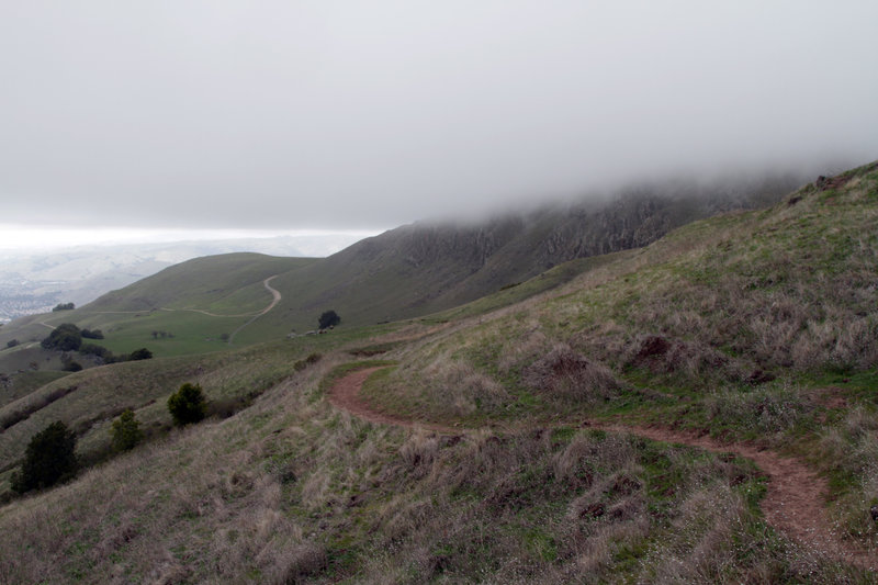 Horse Heaven Trail.