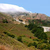 Fog rolling in on the Kirby Cove Trail.