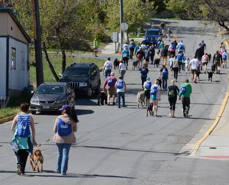 5K canine crew near the start of the course.