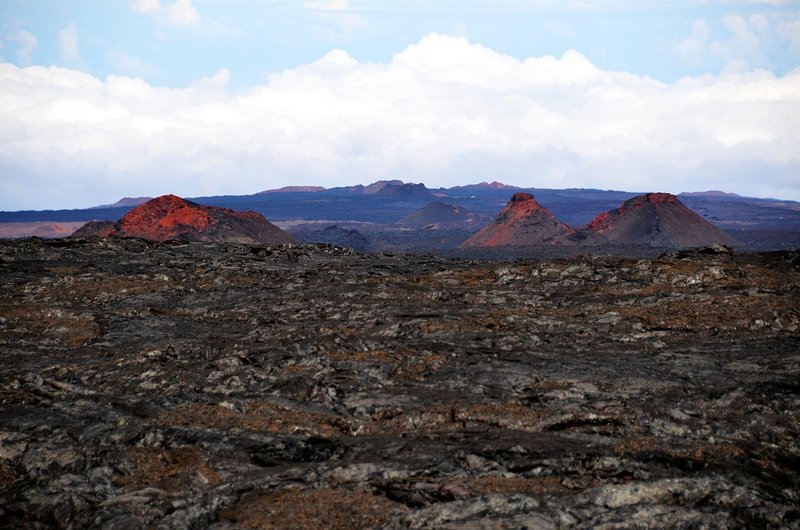 Cinder cones of Mauna Loa. with permission from Andrew Stehlik