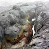 Snow, lava and rain - volcanic crack above Lua Poholo crater - part of Mauna Loa Caldera system. with permission from Andrew Stehlik