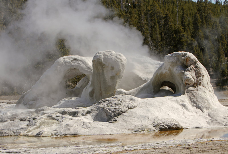 The weirdly shaped cone that gives Grotto Geyser its name, likely resulted from geyserite covering the trunks of trees that once grew here.