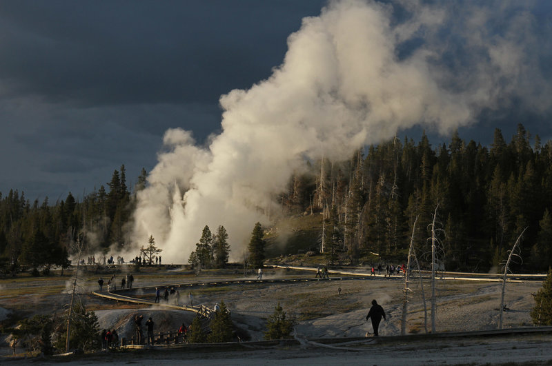 Grand Geyser's massive 180 foot eruptions can be seen from all over the Upper Geyser Basin.