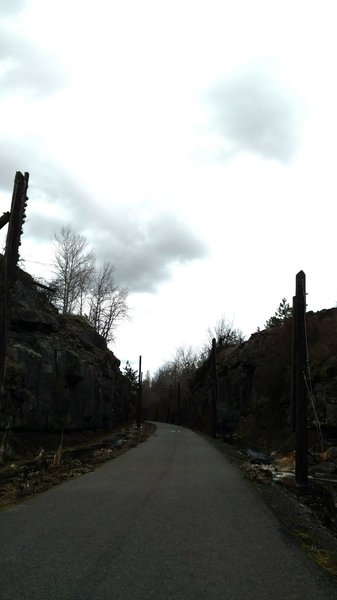 Old wooden pilings along the trail.