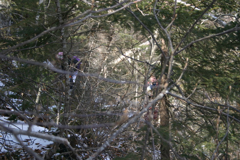 Dense bushwhacking. Lots of ice the higher up you go makes it difficult to push through. Often the easiest route is to crawl or slide under the lowest branches.