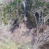 Indian Canyon Waterfall.