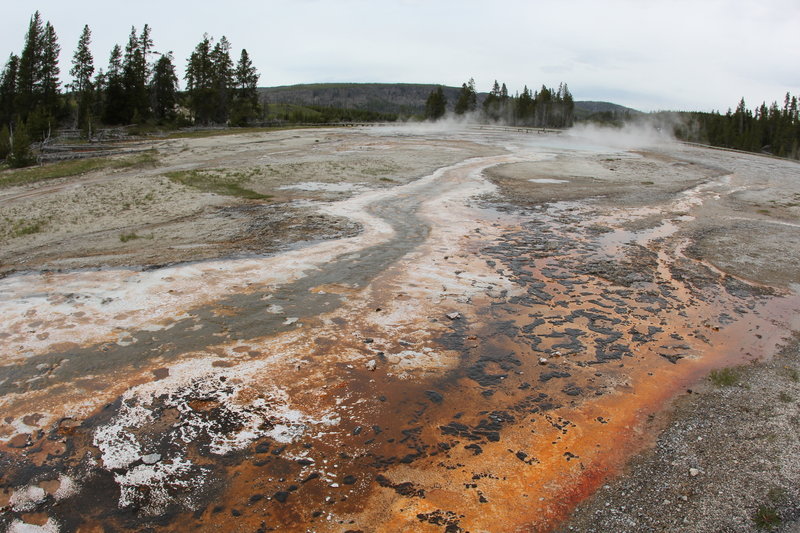 Comet, Splendid and Daisy Geysers.