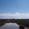 The canal in the center of the Recess Plantation Trail.