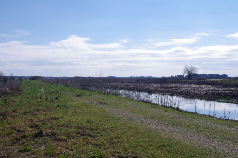 The end of the Recess Plantation Trail.