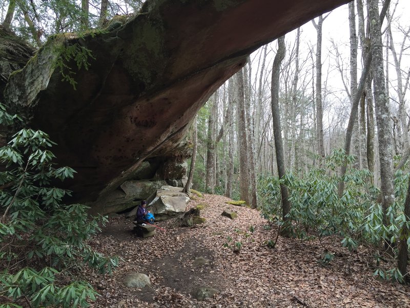 Lunching under the Natural Bridge.