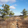 The views from near the top of Blue Mountain are spectacular!