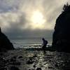 Damnation creek as it flows into the Pacific