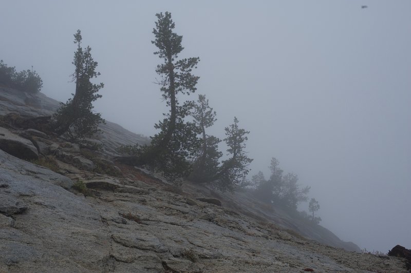 Climbing Sentinel Dome.