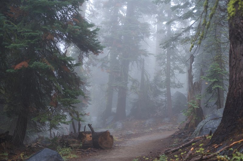 The trail can be foggy or cloudy in the fall and winter.  Make sure you check conditions before heading out.