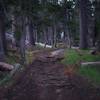 The trail leading to Clouds Rest.  You can see the roots scatter across the trail, so make sure you watch your step.