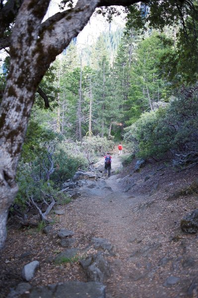 The trail dropping back down to the parking lot.