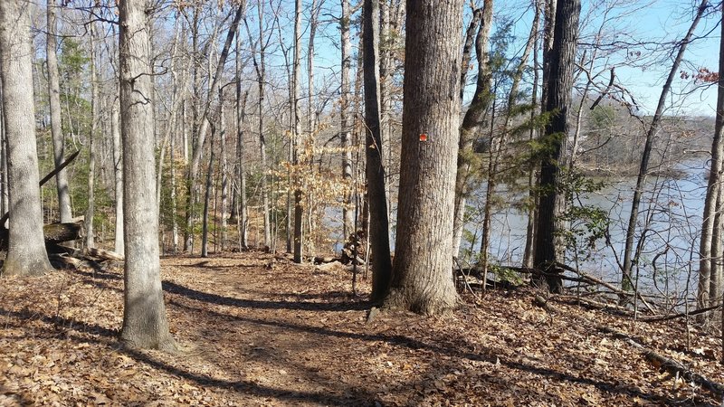 Start of orange trail that travels the pond. The trail is pretty flat on this side.