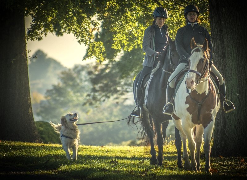 Horseback riding in Valley Forge.