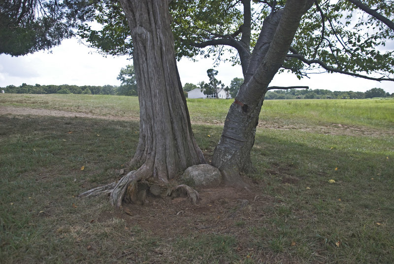 Trees now shade what was once the battlefield.