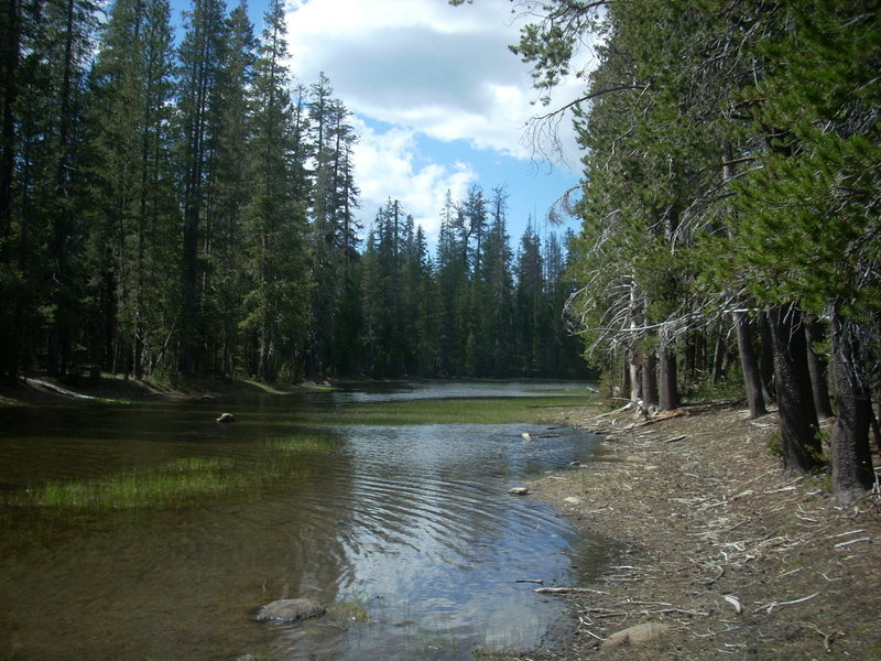 Lower Twin Lake wetlands. with permission from aliandjgohiking