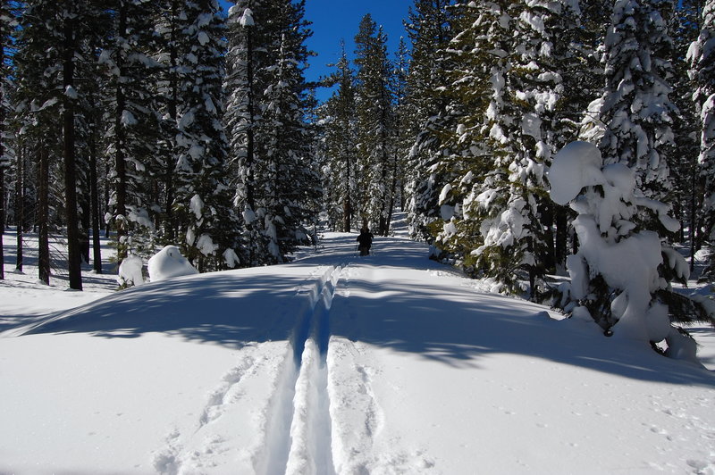 Nobels Emigrant Trail (East).