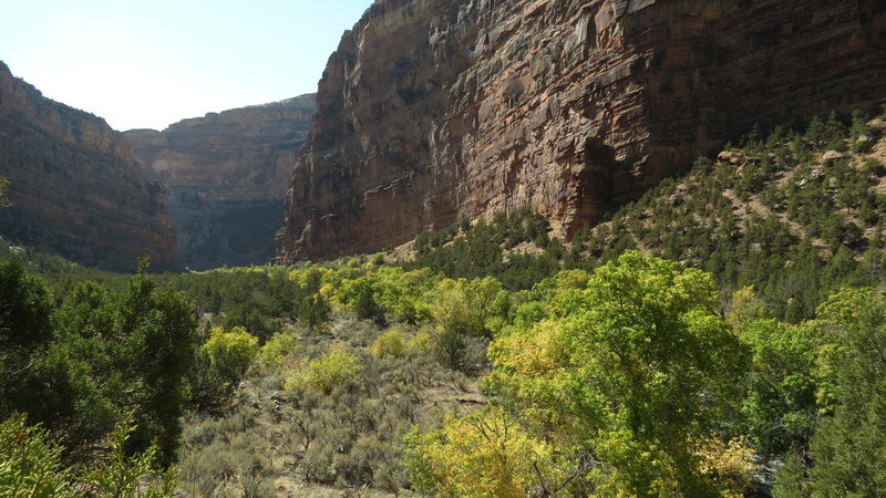 Fall colors along Jones Creek in Dinosaur National Monument, Utah. with permission from phil h